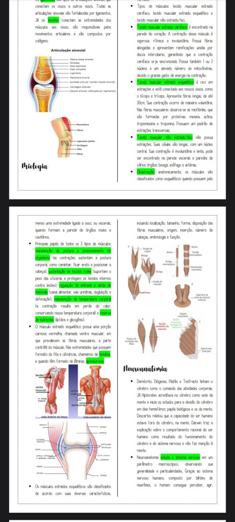 Resumo De Anatomia Humana Res Academy
