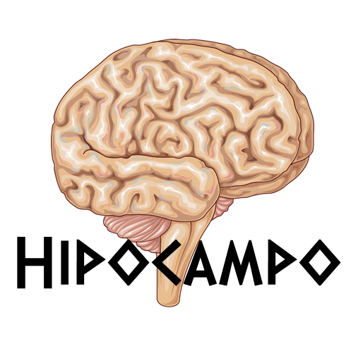 Hipocampo Notas