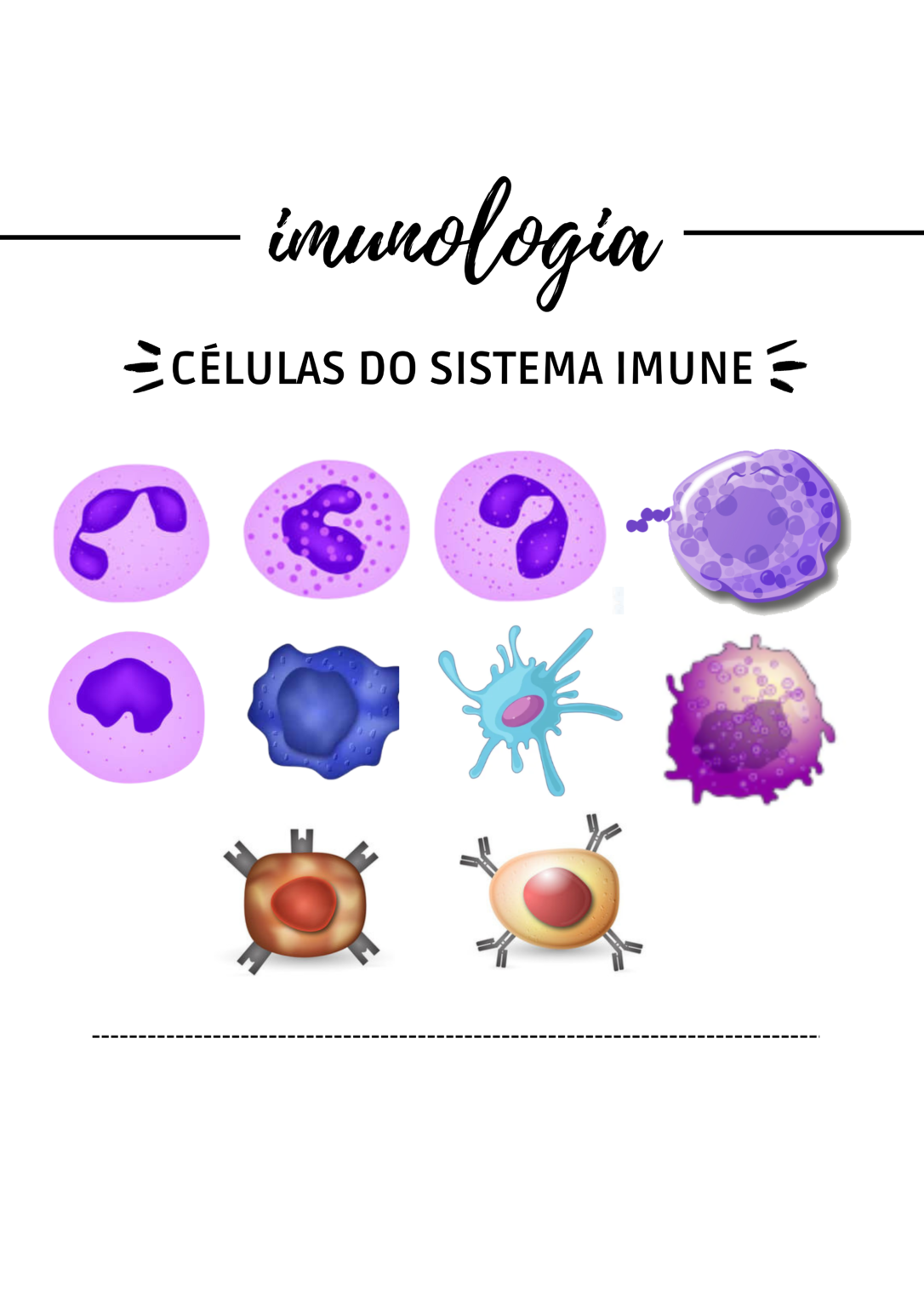 Resumo Imunologia C Lulas Do Sistema Imune Res Academy
