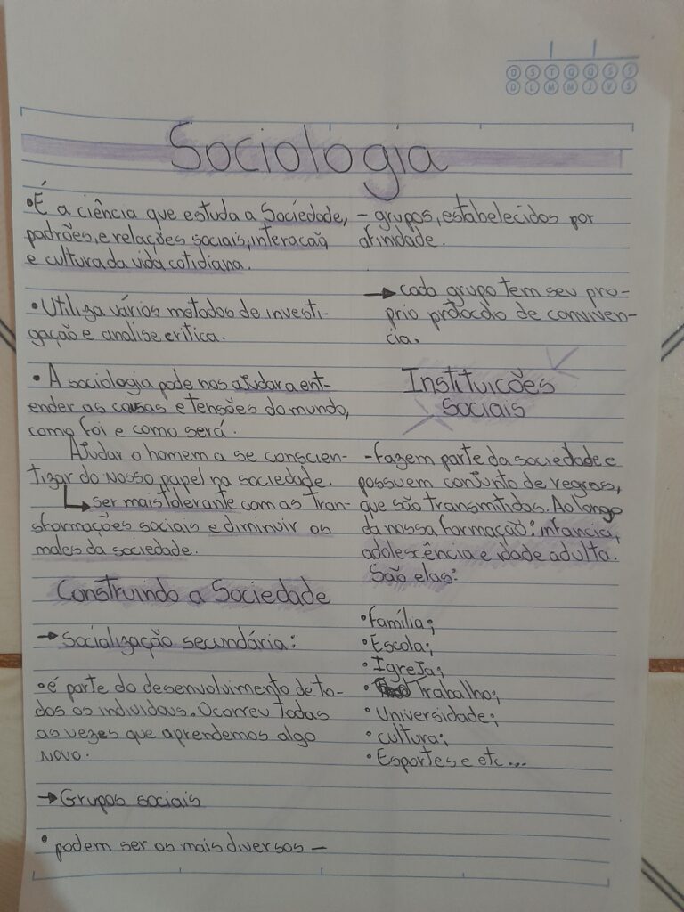 Sociologia Resumo – Res Academy