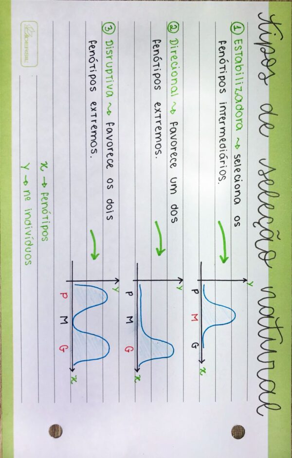 flash card - teorias da evolução (biologia)