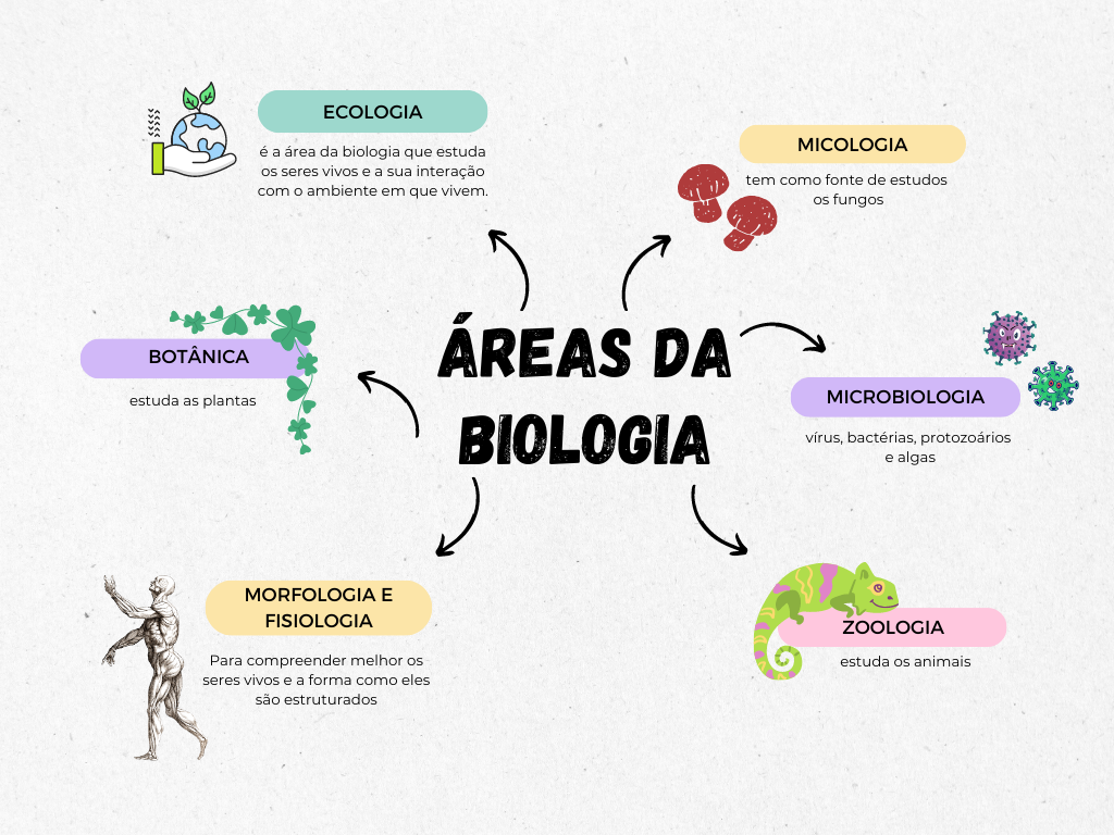 Áreas da biologia Res Academy