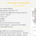 Anterior Imagem Do Produto