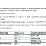 Próxima Imagem Do Produto