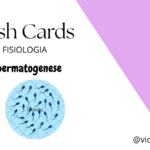 Anterior Imagem Do Produto