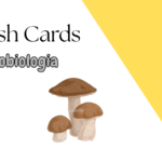 Próxima Imagem Do Produto