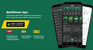 Comprehensive Review of BetWinner Online Casino Features, Games, and Benefits Comprehensive Review of BetWinner Online Casino Features, Games, and Benefits