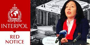 Understanding the Role of Interpol Defense Lawyers 1329608676