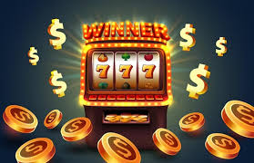 Discover the Thrills of Online Casino WildRobin -650868808