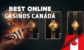 Top Online Casinos in Canada Your Guide to the Best Gaming Sites